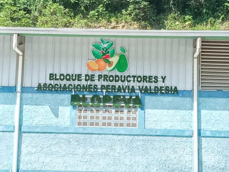 Denuncian arrendamiento irregular del Bloque de Asociaciones Peravia Valdesia