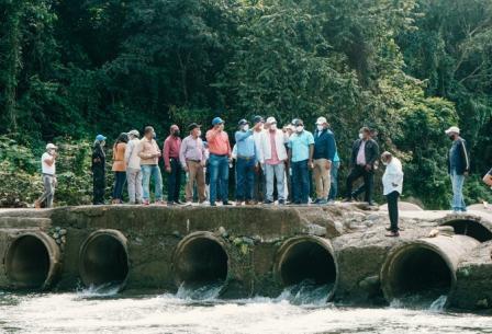 GUAGUÍ PRESA