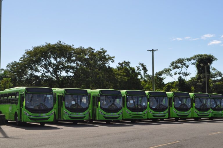 OMSA extenderá horario de servicios de transporte a partir del 27 de enero