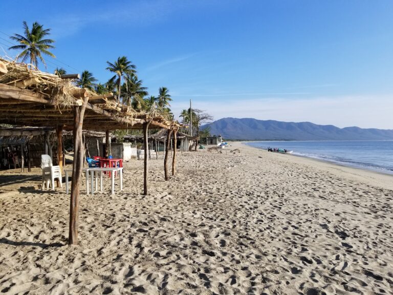 Encuentran joven ahorcado en playa cangrejo la mañana de hoy
