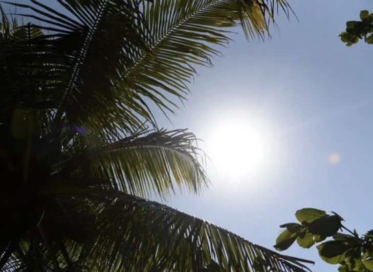 Cielo mayormente soleado con algunos chubascos para la tarde