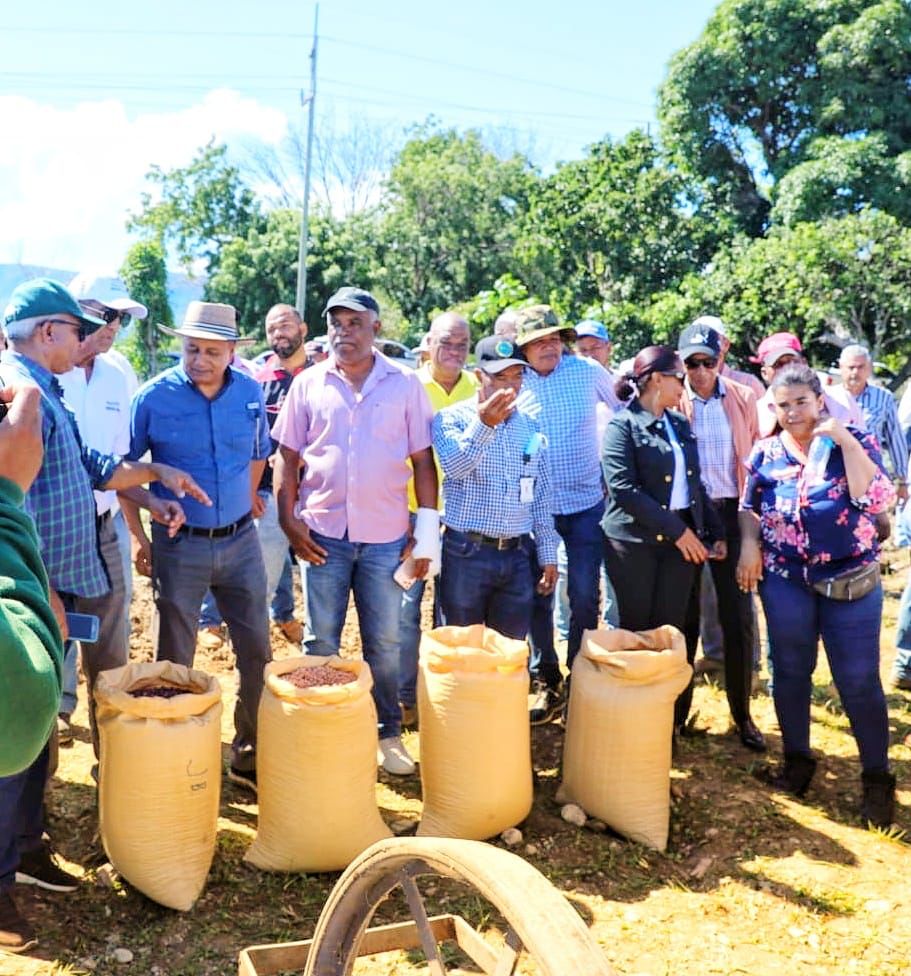 habichuela-Image-2022-11-07-at-11.24.00-AM Agricultura inicia siembra masiva de habichuelas temporada 2022