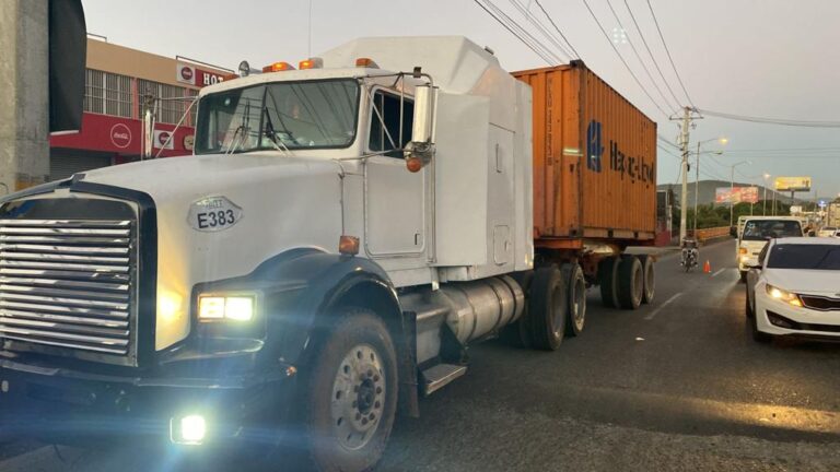 Apresan conductor de camión con 212 paquetes presumiblemente cocaína en Peravia