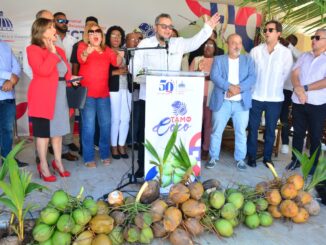 Gobierno lanza proyecto de nuevas plantaciones de coco