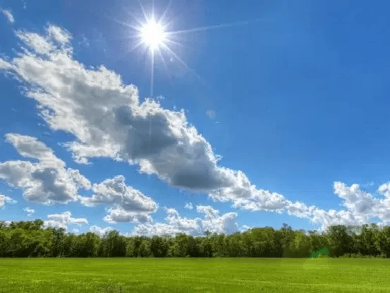 Cielo soleado con algunos chubascos locales para la tarde