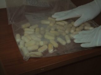Atrapan mula en el AILA con 49 bolsitas de cocaína en el estómago