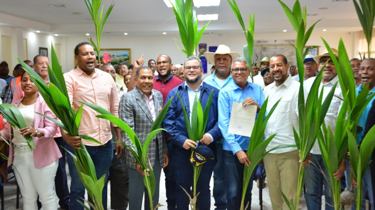 Plan de Relanzamiento del sector coco (1) FEDA inicia Plan de Relanzamiento del Sector del Coco