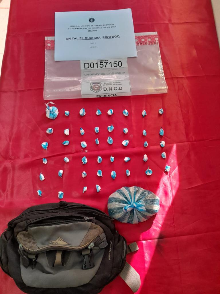 Autoridades ocupan más de 354 mil gramos de cocaína heroína, marihuana y crack