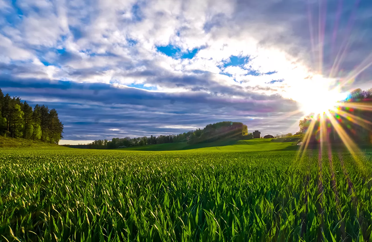 clima-agradable Ambiente soleado y de escasas lluvias