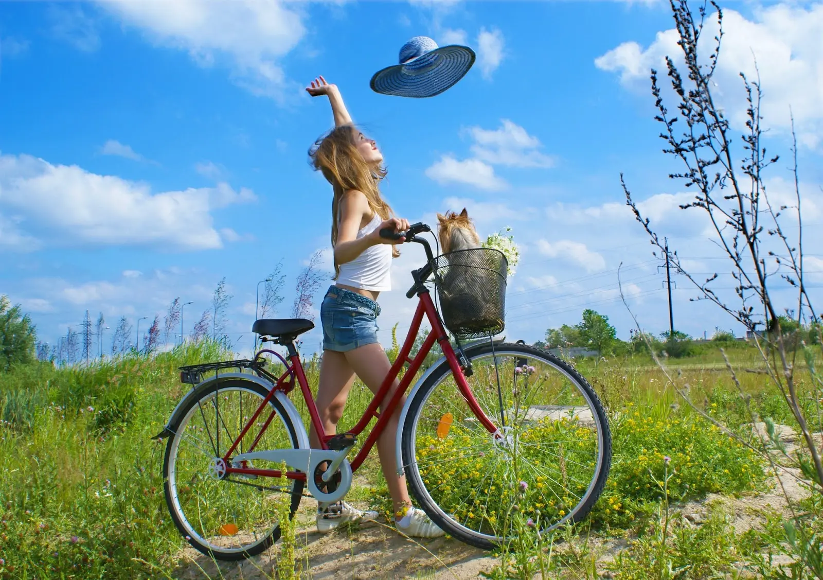 sol Ambiente soleado y de escasas lluvias por sistema de alta presión