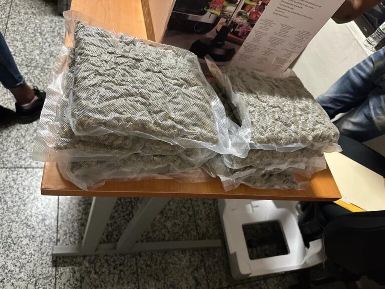 En freidora de aire y peluches ocupan 25 paquetes de marihuana