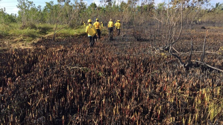 Medio Ambiente continúa atacando incendios en distintos puntos del país