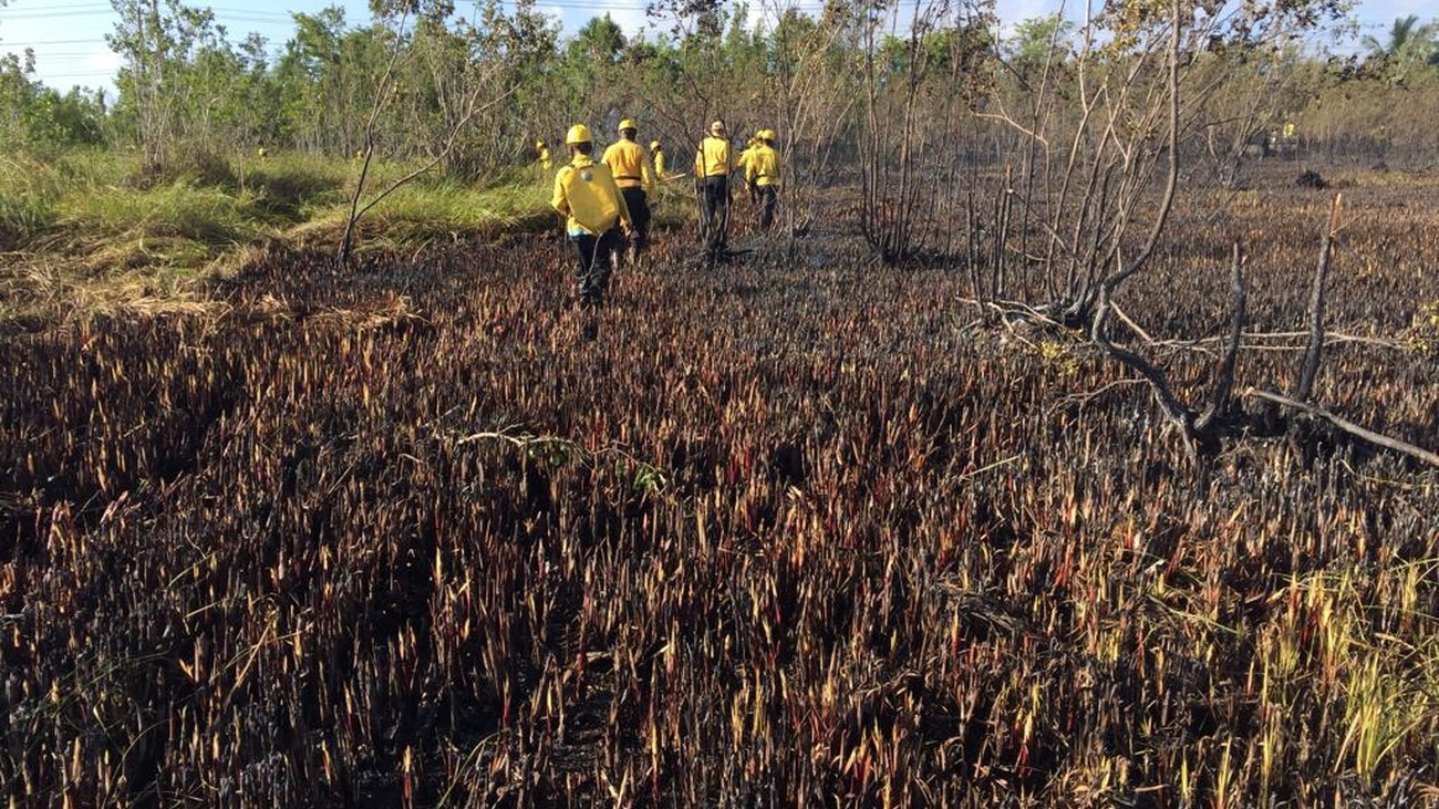 E5CD37AB-8D56-41C2-BF53-F758EB537B5C Medio Ambiente continúa atacando incendios en distintos puntos del país