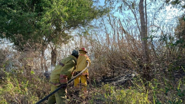 Ambiente informa incendio forestal en Valle Nuevo está controlado