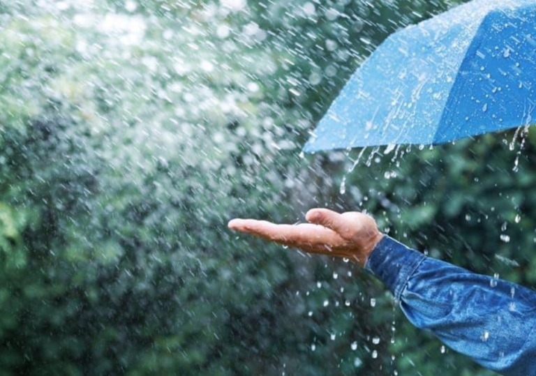 Lluvias débiles y pasajeras, Temperaturas agradables