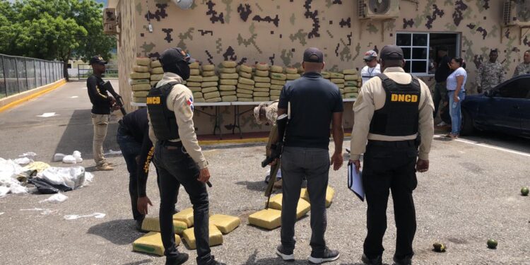 Cesfront y DNCD ocupan 1,945 libras presumiblemente marihuana