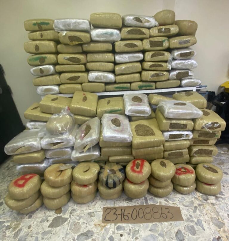 Cargamento de marihuana ocupado en pedernales tuvo peso de 1, 955 libras