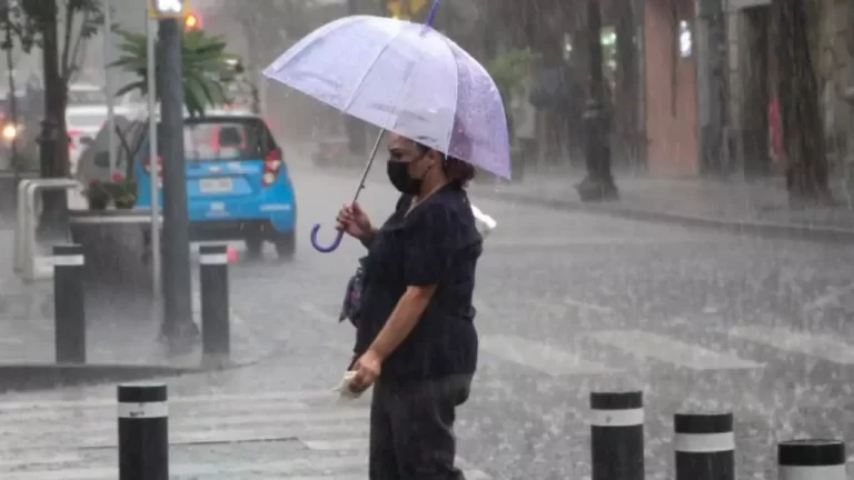 Lluvias matutinas