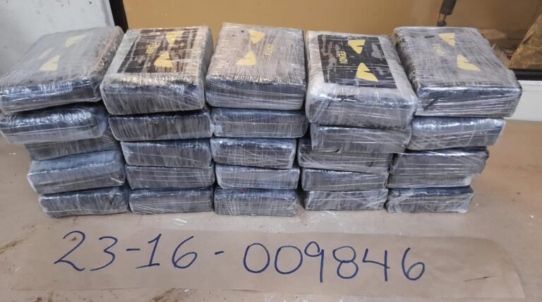 Ocupan fusiles, escopetas y 50 paquetes de drogas en operativos