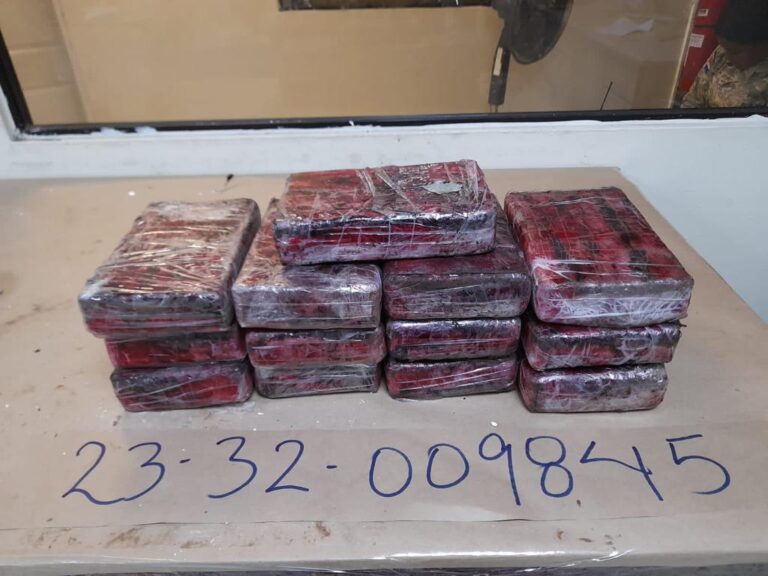 Incautan en Puerto Haina 13 paquetes de cocaína
