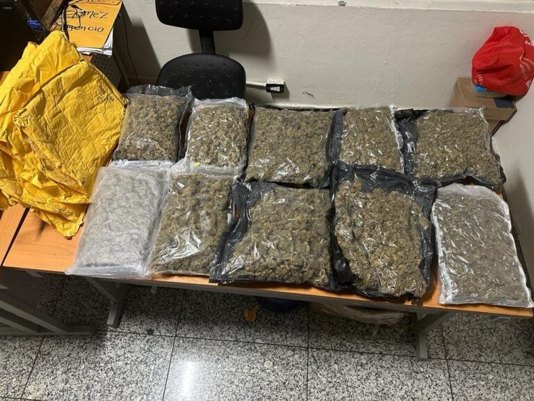 DNCD ocupa en el AILA 10 paquetes de marihuana