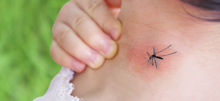Sostienen  que el dengue esta fuera de control