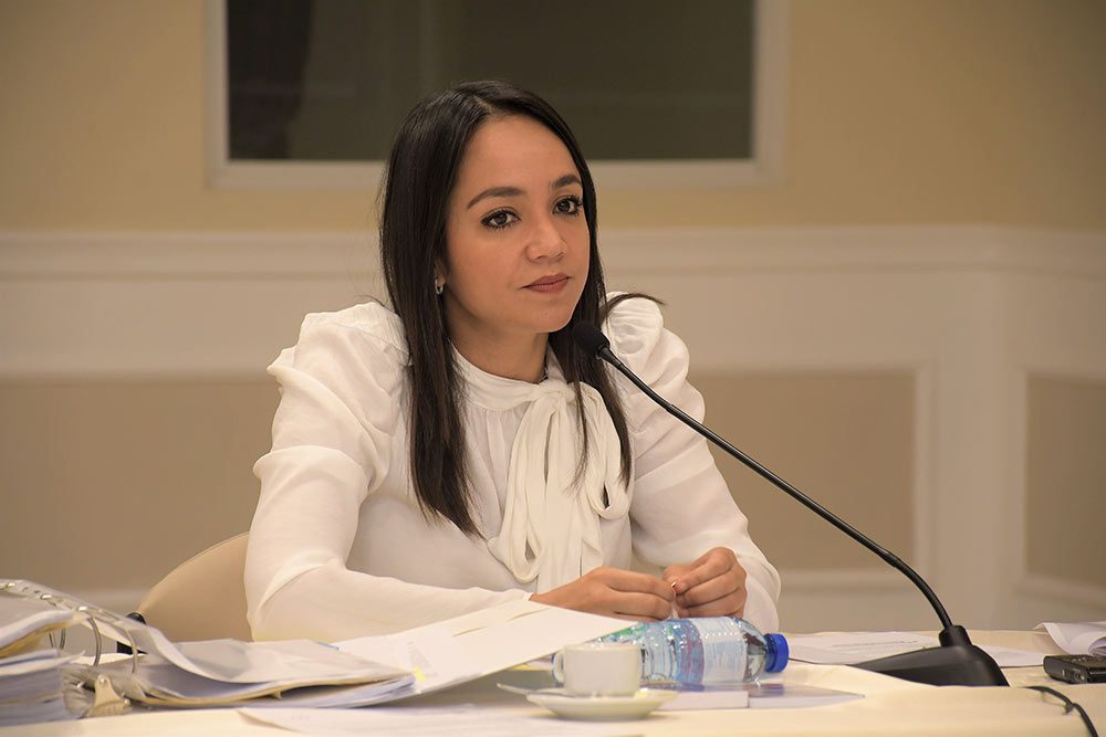 Faride-Raful-Presidente-de-Comision-Bicameral-de-Ordenamiento-Territorial-1