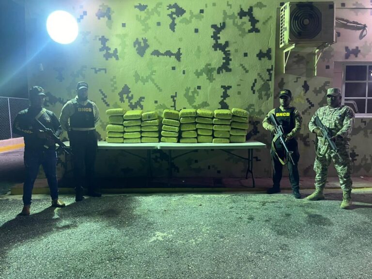 Decomisan más de 390 libras de un vegetal que se presume es marihuana