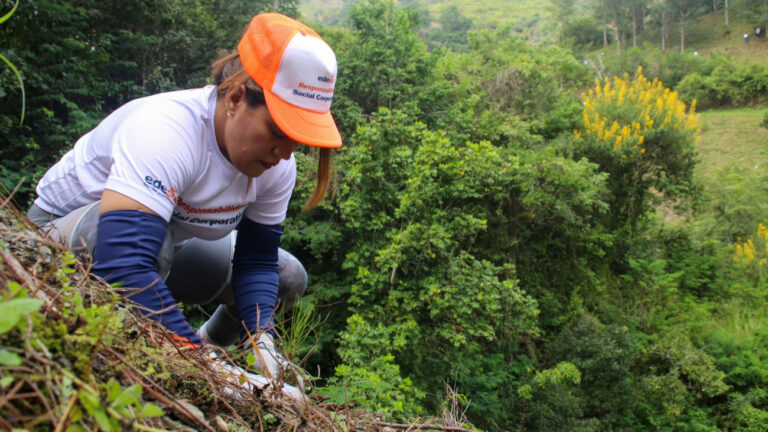 Edesur Realiza Jornada de Reforestación en San Cristóbal