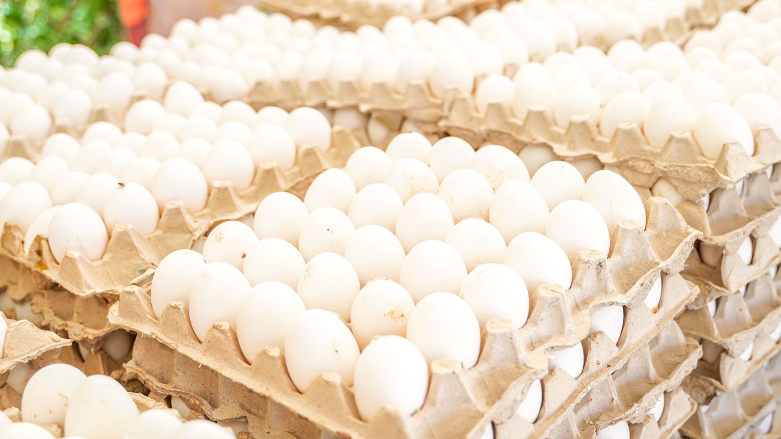 Gobierno ofrece cartones de huevos a 100 pesos en 76 supermercado Gobierno ofrece cartones de huevos a 100 pesos en 76 supermercado