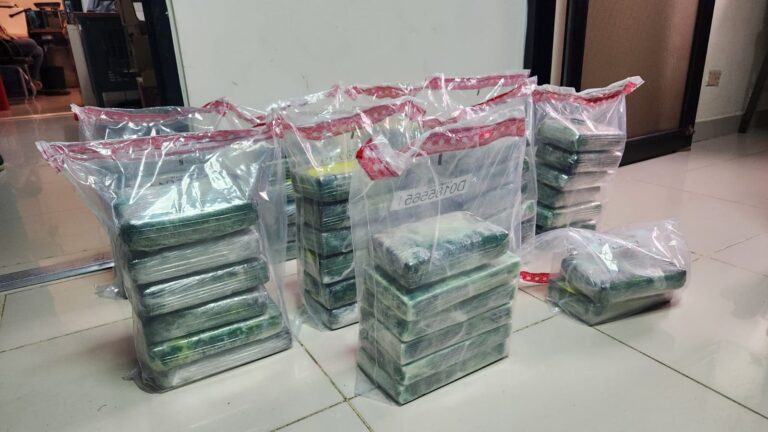 Ocupan en carga de cocos 56 paquetes presumiblemente cocaína
