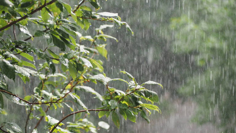 Lluvias débiles a moderadas por sistema frontal