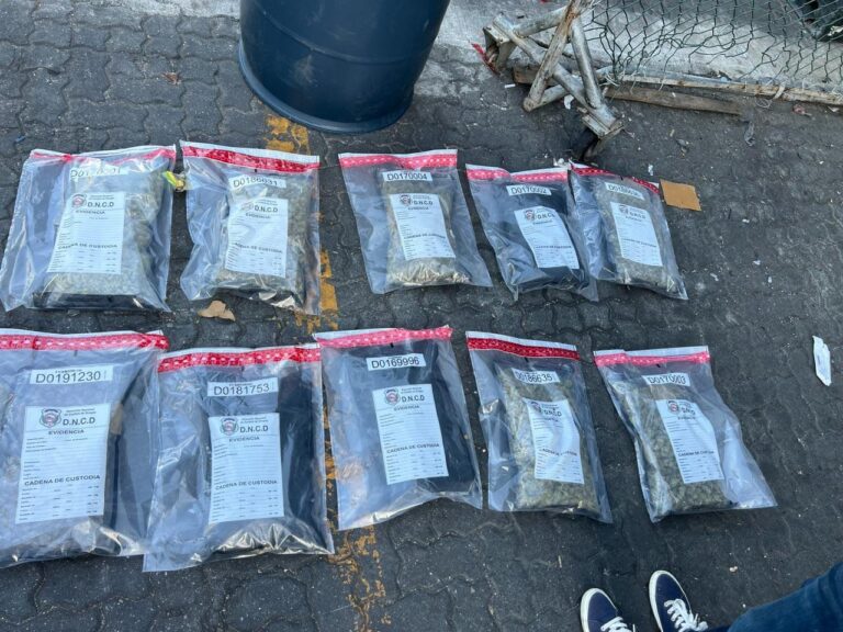 Ocupados 32 Paquetes de Marihuana en Puerto de Haina Oriental