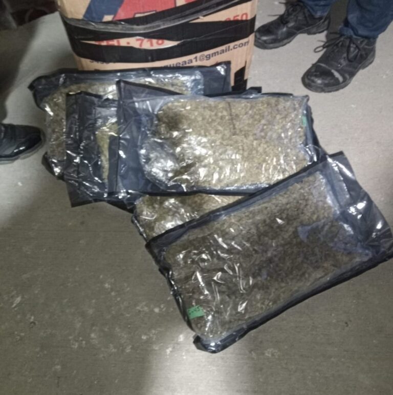 Operativos en AILA e Inposdom resultan en incautación de drogas