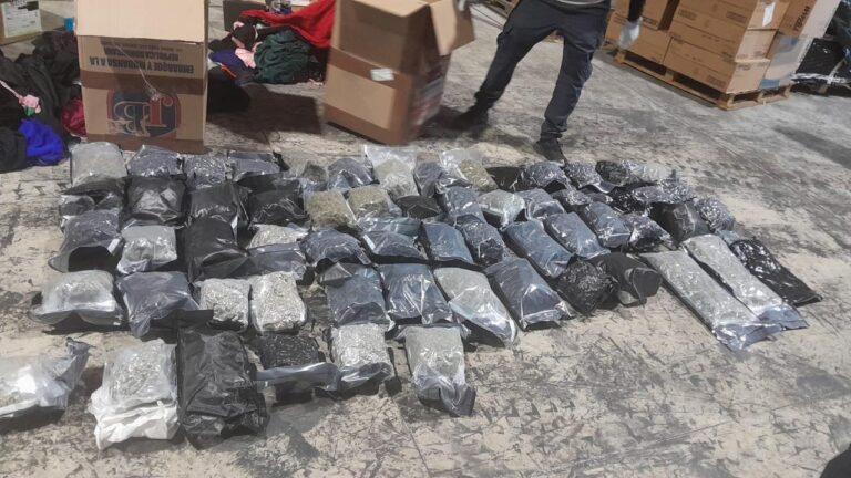 Confiscan 70 paquetes de marihuana