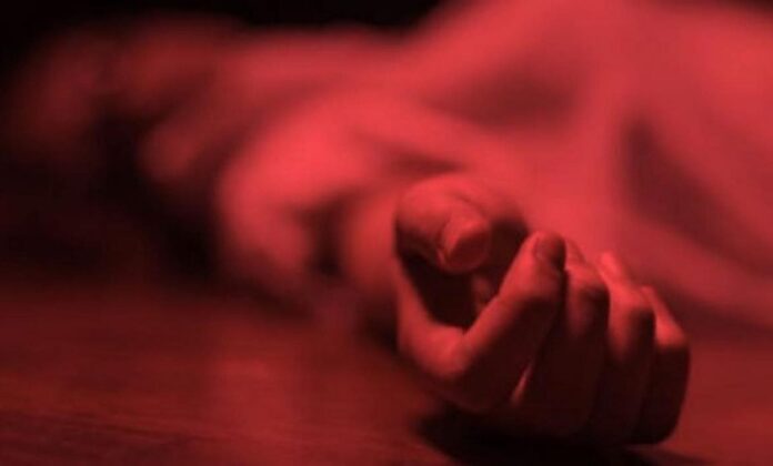 violencia-feminicidios-mujeres-maltrato-muerte-asesinato Disminución del 36% en la tasa de feminicidios en 2024