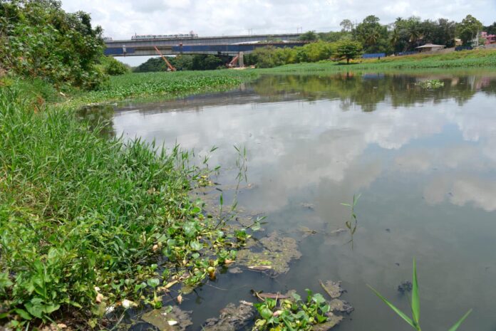 la-isabela-lilas-foto-luis-gomez-02_11762212_20190609153417 Encuentran Cadáver en Descomposición en el río Ozama en SDE