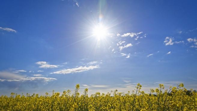Soleado y caluroso en gran parte del país