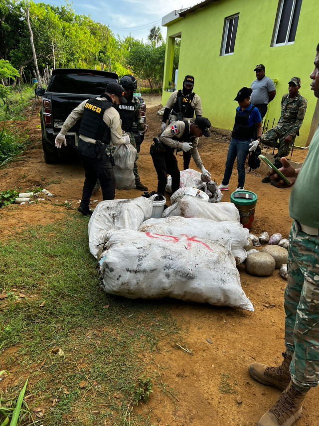 DNCD decomisa más de 1,000 Libras de presunta marihuana