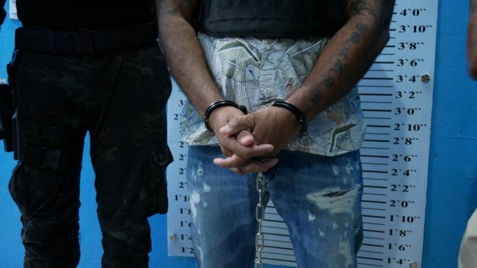 RD extradita a neerlandés acusado de narcotráfico y lavado de activos