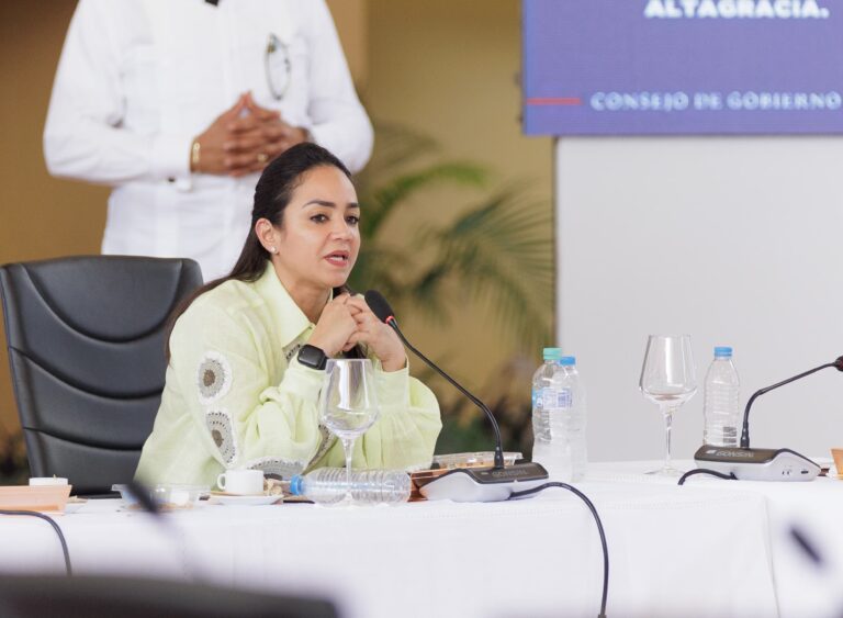 Faride Raful anuncia operación "Garantía de Paz Navidad 2024"
