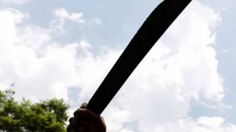 Mujer asesinada a machetazos presuntamente por su pareja