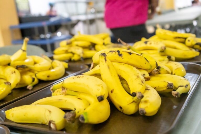 Gobierno refuerza la alimentación escolar con frutas