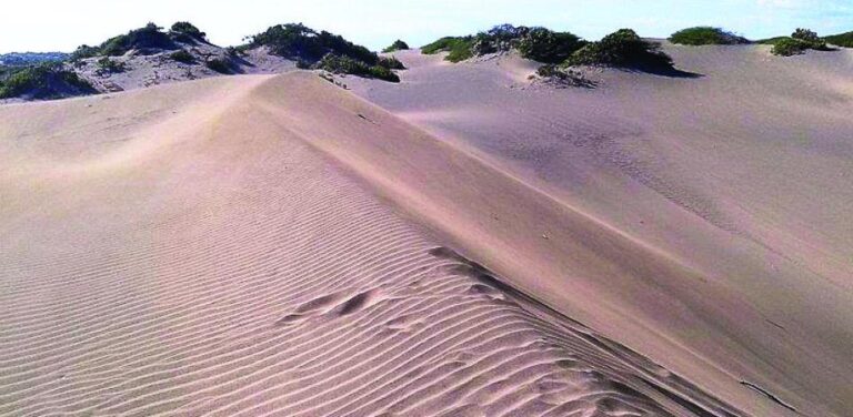 Diputado busca declarar Las Dunas de Baní como parque nacional