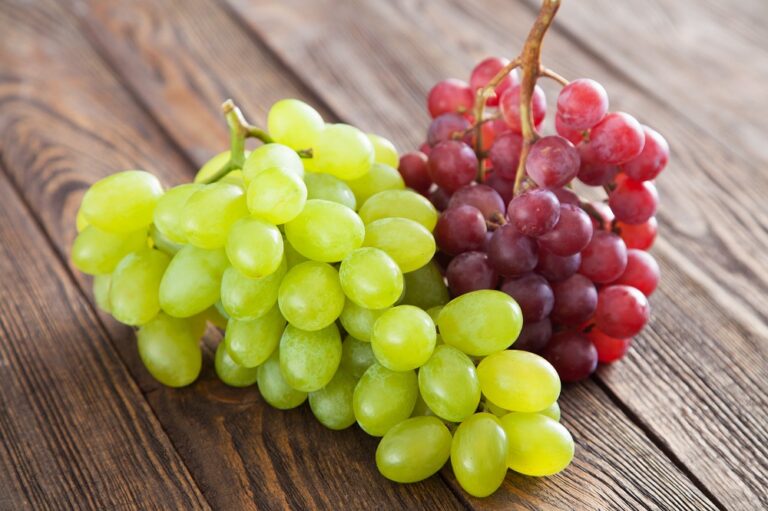 RD inicia exportación de uvas de mesa hacia EEUU y otros mercados