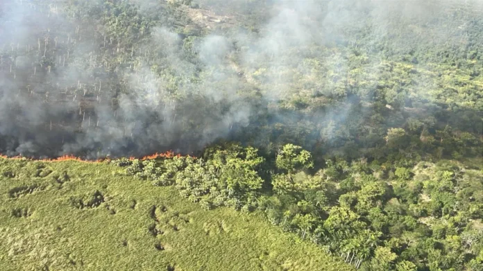 COE y organismos de emergencia sofocan incendio en la Reserva Natural Hoyo Claro