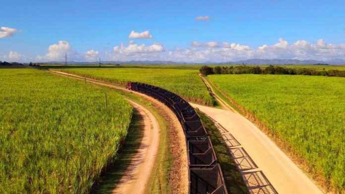 DGA valora la decisión de levantar prohibición de exportación a Central Romana