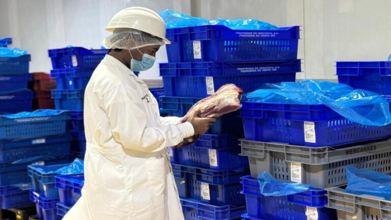 EEUU autoriza a República Dominicana a exportar carne bovina