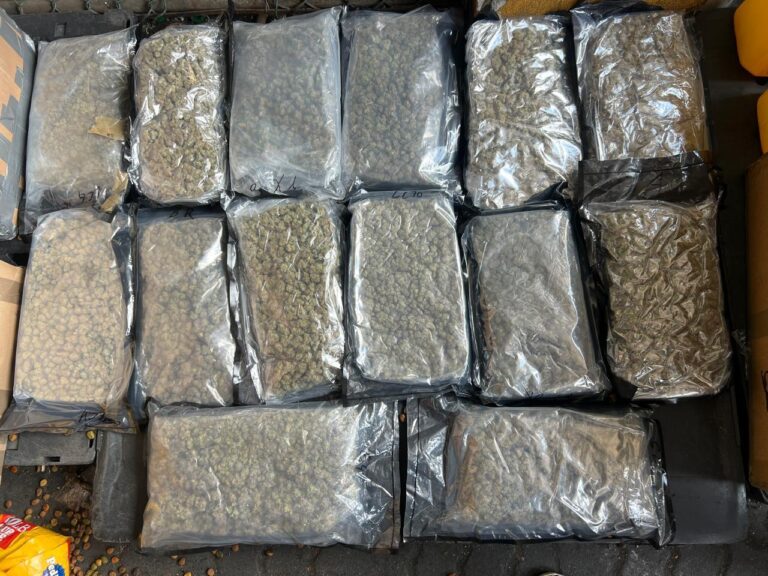 DNCD ocupa otros 46 paquetes de marihuana en operativos de interdicción en Puerto Haina