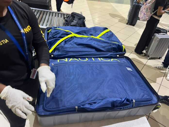 Santo Domingo. - Agentes de la Dirección Nacional de Control de Drogas (DNCD) apoyados por el Cuerpo Especializado de Seguridad Aeroportuaria (CESAC), y coordinados por miembros del Ministerio Público, confiscaron 60 paquetes presumiblemente marihuana, durante labores de inspección conjunta, realizadas en el Aeropuerto Internacional del Cibao, provincia de Santiago. Los agentes antinarcóticos, asistidos por militares y unidades caninas, desarrollaban operaciones de verificación en el área de llegada de la terminal, cuando detectaron sustancias extrañas en el interior de dos maletas. Por instrucciones del fiscal y en presencia de la imputada, se procedió a abrirlas, ocupando un total de 60 paquetes, distribuidos en las dos maletas. Por el caso, las autoridades arrestaron a una joven estadounidense que llegó a la terminal de Santiago, procedente de Estados Unidos en un vuelo comercial. La mujer de 29 años será sometida a la justicia en las próximas horas por violacion a la ley 50-88, sobre drogas y sustancias controladas. El Ministerio Público y la DNCD profundizan las investigaciones en torno al caso, mientras tratan de establecer si hay otros implicados en la frustrada operación de narcotráfico internacional. Los 60 paquetes del vegetal, que se presume es marihuana, están siendo enviados al Instituto Nacional de Ciencias Forenses (INACIF),de Santiago, para los fines correspondientes.